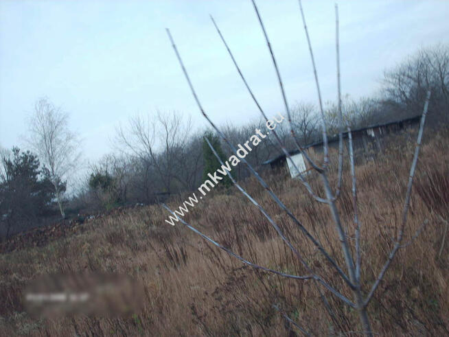 gratka dla dewelpera