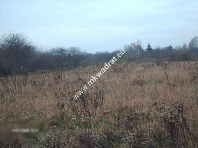 gratka dla dewelpera