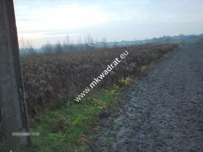 Piękny teren pod mini osiedle.