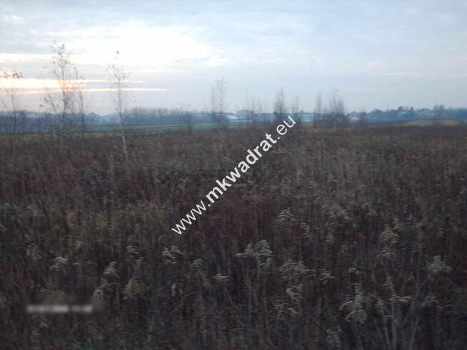 Piękny teren pod mini osiedle.