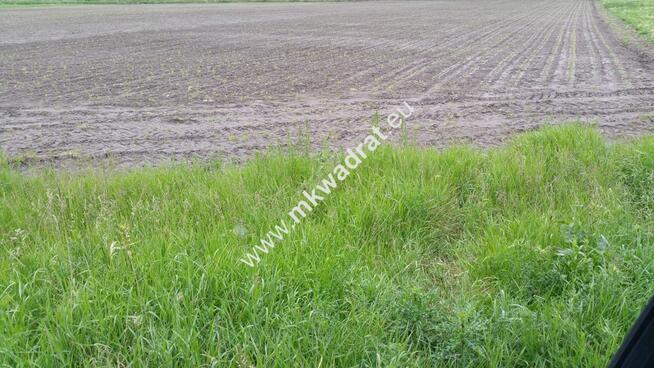 Atrakcyjny kształt, możliwość podziału.