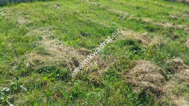 Ogrodzona, wszystkie media.