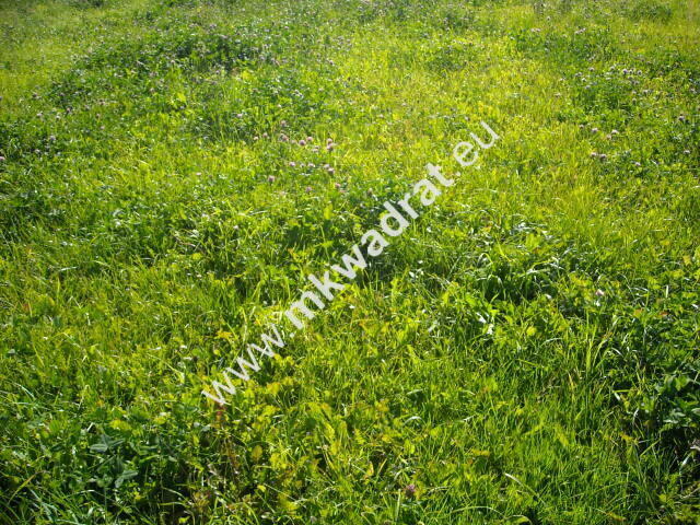 Piękna działka w m. Budki Piaseckie k/Teresina.