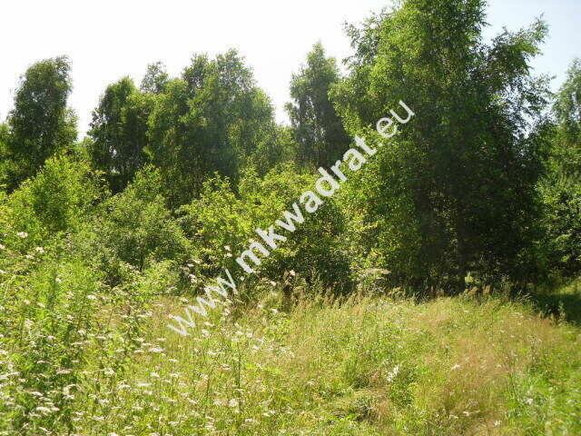 Działka budowlana w malowniczym Żółwinie