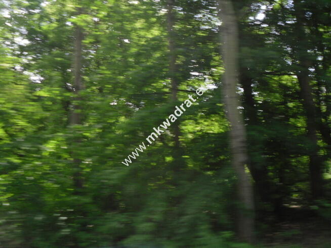 Oaza ciszy i spokoju