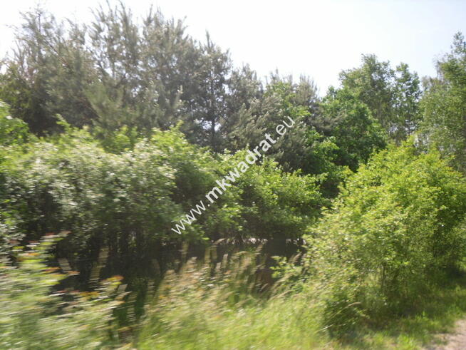 Oaza ciszy i spokoju