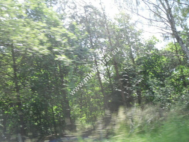 Oaza ciszy i spokoju