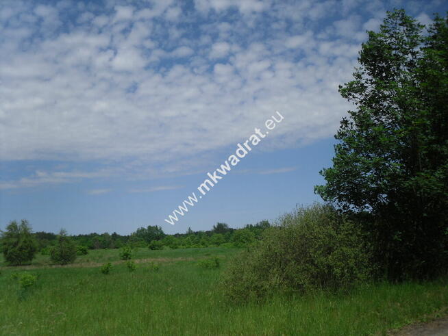 Oaza ciszy i spokoju