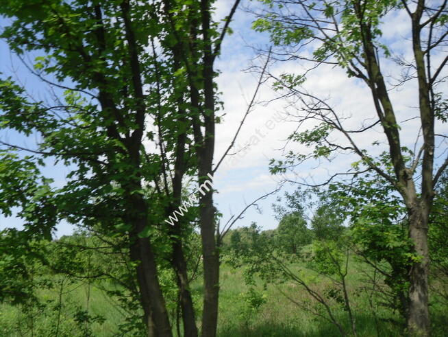 Oaza ciszy i spokoju