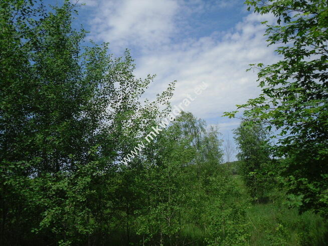 Oaza ciszy i spokoju