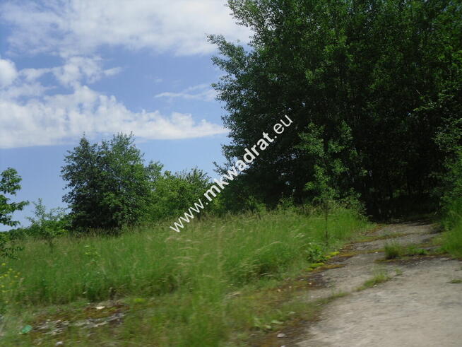 Oaza ciszy i spokoju