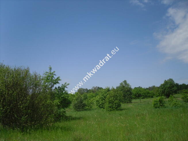 Oaza ciszy i spokoju