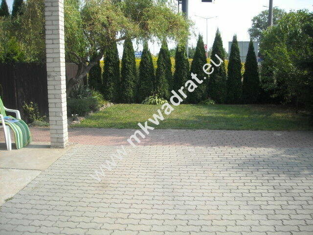 Funkcjonalny dom z lokalem użytkowym.