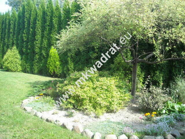 Funkcjonalny dom z lokalem użytkowym.