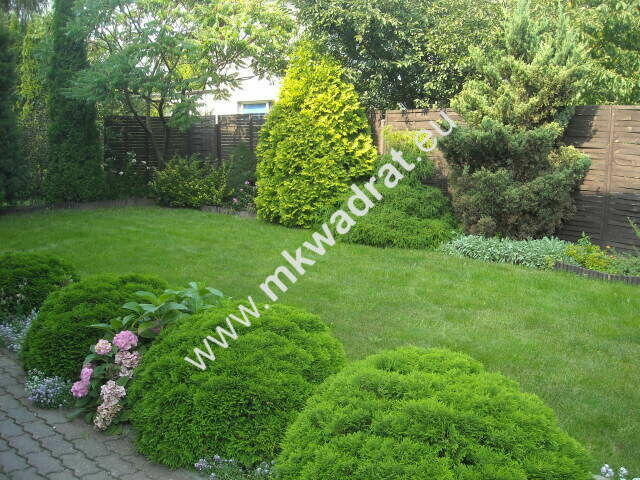 Funkcjonalny dom z lokalem użytkowym.