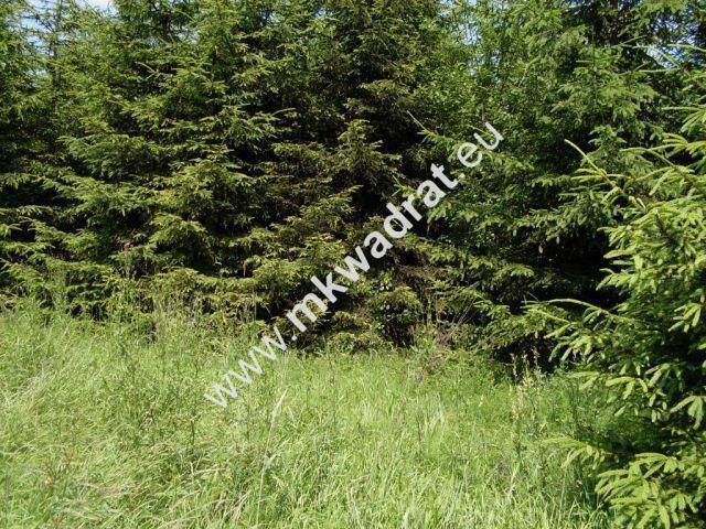 Ciekawa oferta warta uwagi!