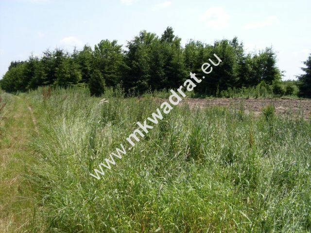 Ciekawa oferta warta uwagi!