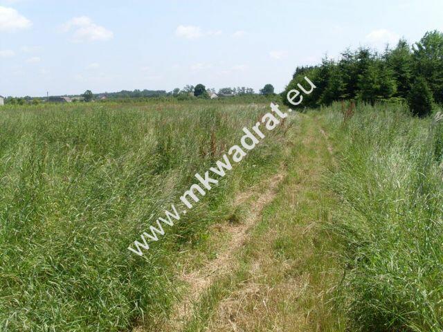 Ciekawa oferta warta uwagi!