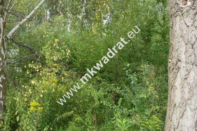 Działka Pęcice małe