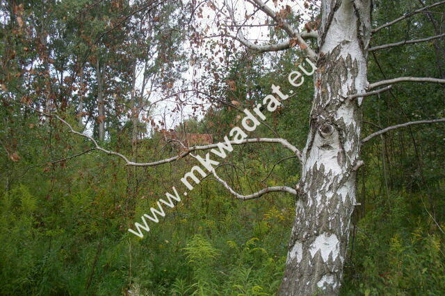 Działka Pęcice małe