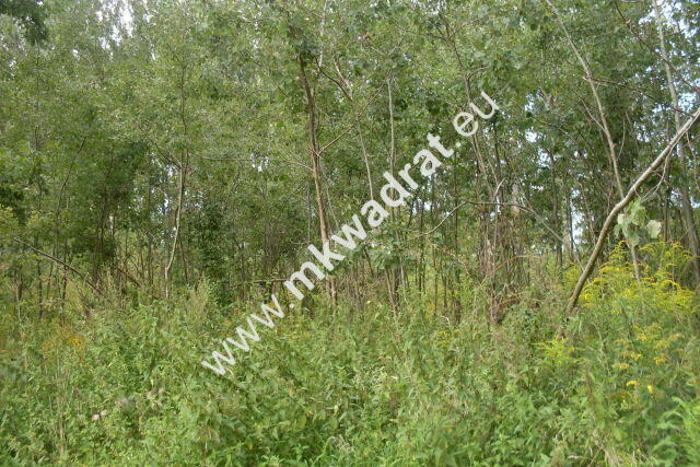 Działka Pęcice małe