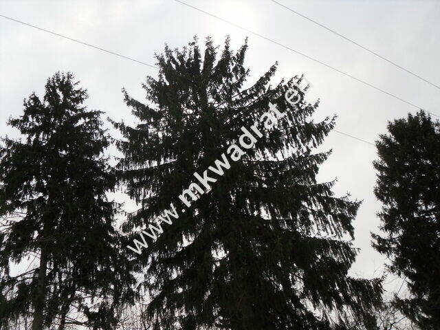 Działka Stanisławów