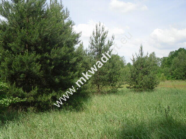 Działka Stanisławów