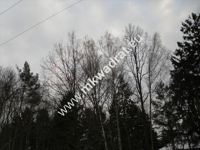 Działka Stanisławów