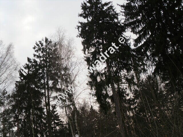 Działka Stanisławów