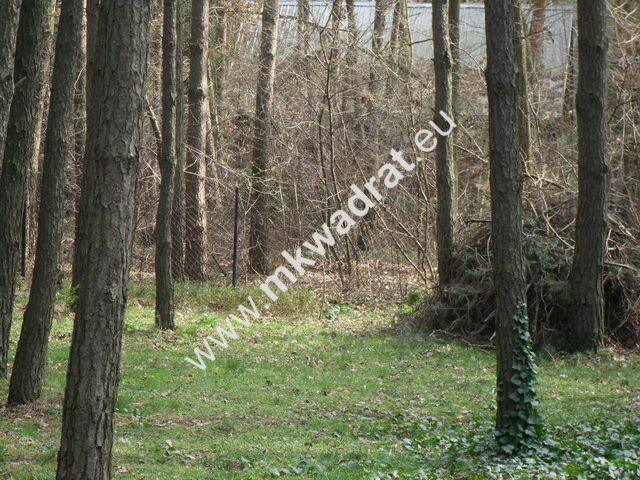 Działka Stanisławów