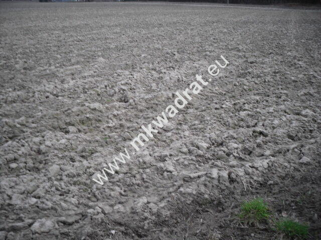 4 działki pod mini osiedle PASIKONIE / KAMPINOS