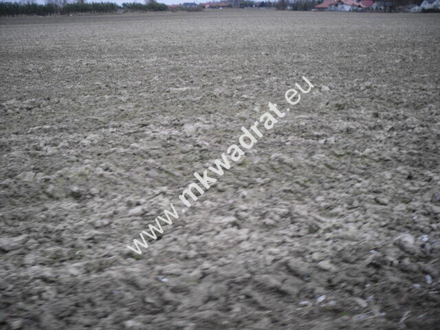 Pasikonie k.Kampinosu ciekawa oferta mkwadrat.eu