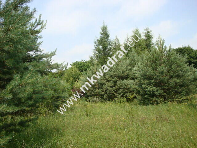 Grzegorzewice działka 2163m2