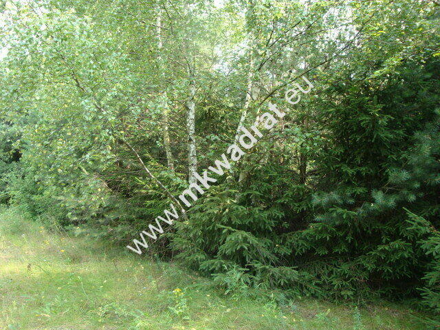 Grzegorzewice działka 2163m2