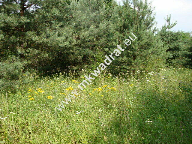 Grzegorzewice działka 2163m2