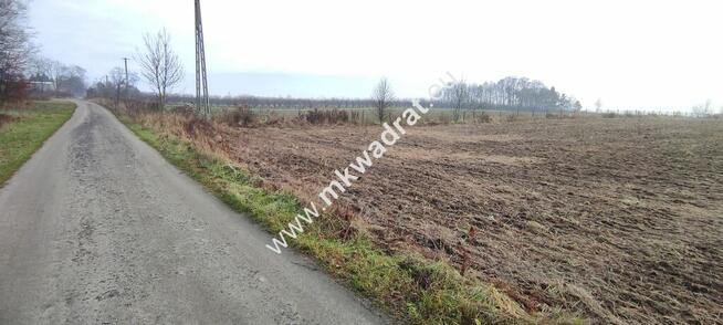 Działka z Warunkami Zabudowy 21800m² Media Okazja!