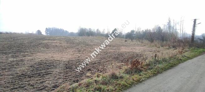 Działka z Warunkami Zabudowy 21800m² Media Okazja!