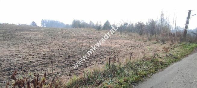 Działka z Warunkami Zabudowy 21800m² Media Okazja!