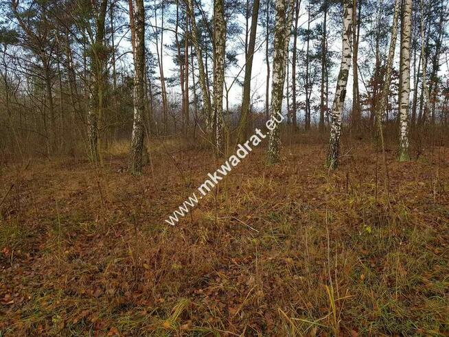 Działka z Warunkami Zabudowy 21800m² Media Okazja!