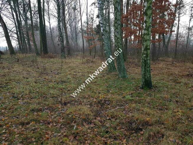 Działka z Warunkami Zabudowy 21800m² Media Okazja!