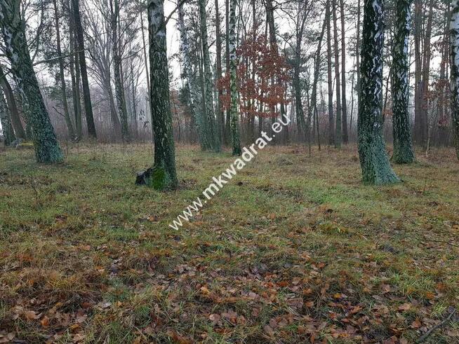 Działka z Warunkami Zabudowy 21800m² Media Okazja!