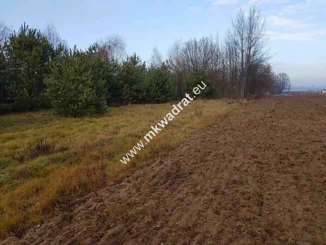 Działka z Warunkami Zabudowy 21800m² Media Okazja!