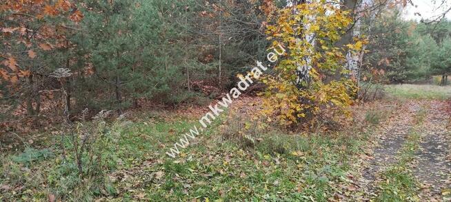 Ładna okolica MeDiA MPZP Okazja! super cena!