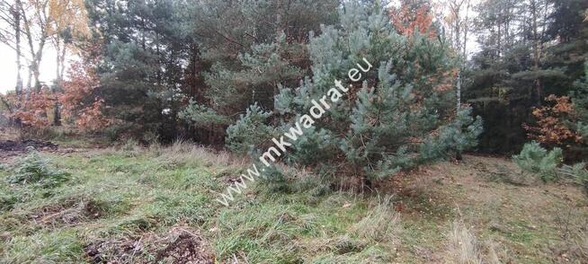 Ładna okolica MeDiA MPZP Okazja! super cena!