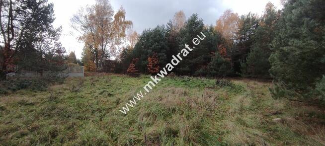 Ładna okolica MeDiA MPZP Okazja! super cena!