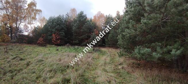 Ładna okolica MeDiA MPZP Okazja! super cena!