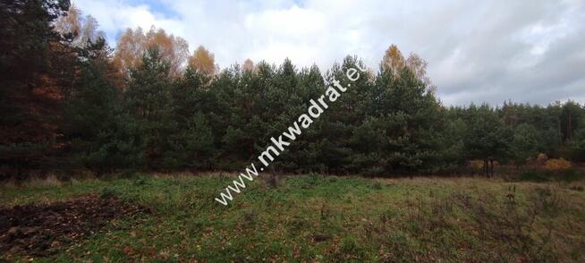 Ładna okolica MeDiA MPZP Okazja! super cena!