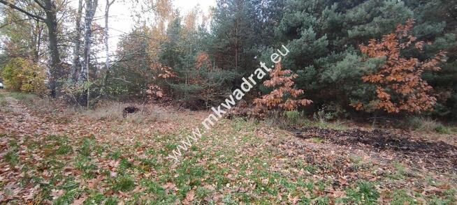 Ładna okolica MeDiA MPZP Okazja! super cena!