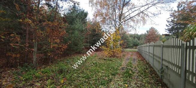 Ładna okolica MeDiA MPZP Okazja! super cena!