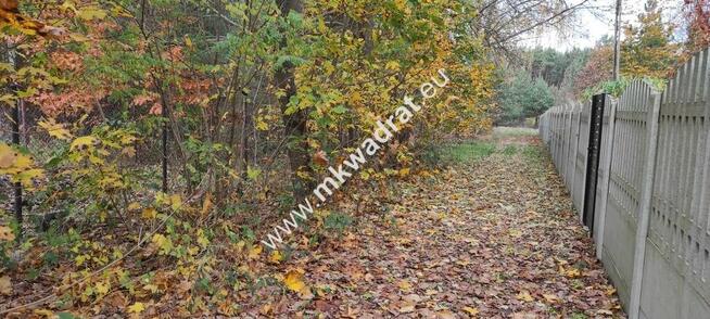 Ładna okolica MeDiA MPZP Okazja! super cena!